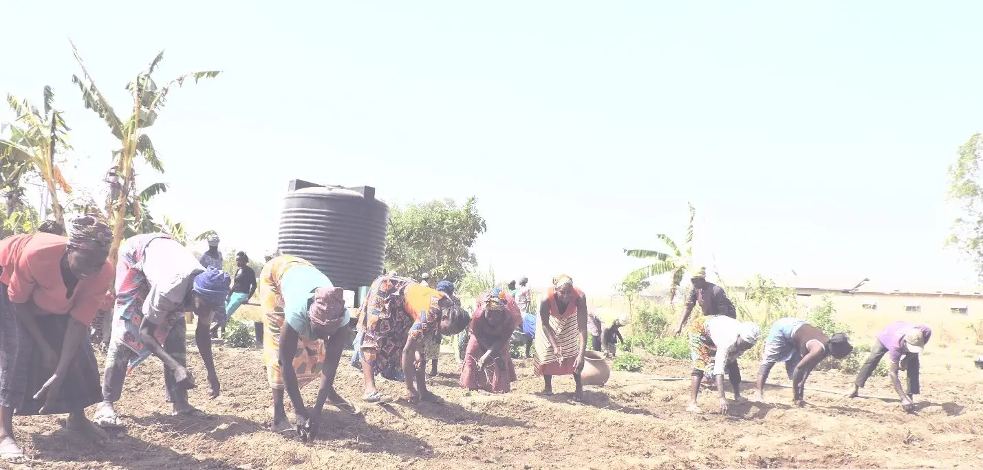 Bilinsa’s Women Find Their Voice Through a Solar-Powered Garden
