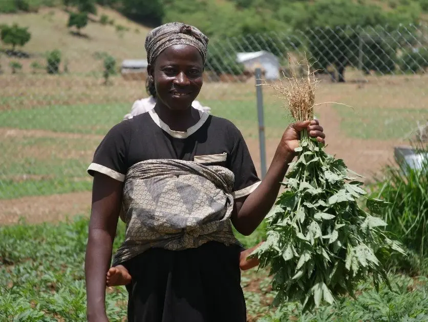 Food Security Project