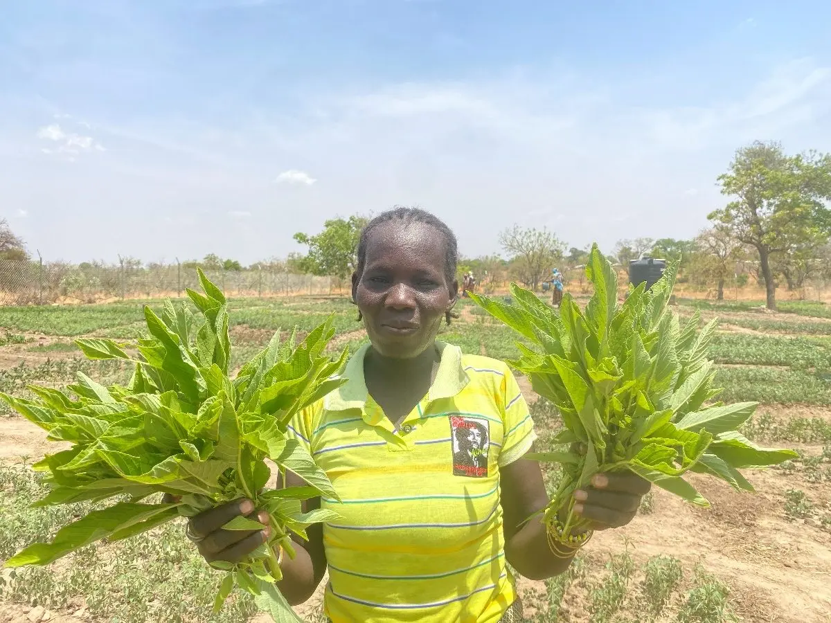 SOLVE: Solar-Powered Vegetable Gardens for Asylum Seekers
