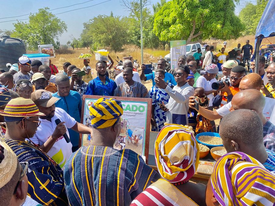 Photo from: NABOCADO Showcases SCRAS Results at 41st Upper East Regional Farmers' Day