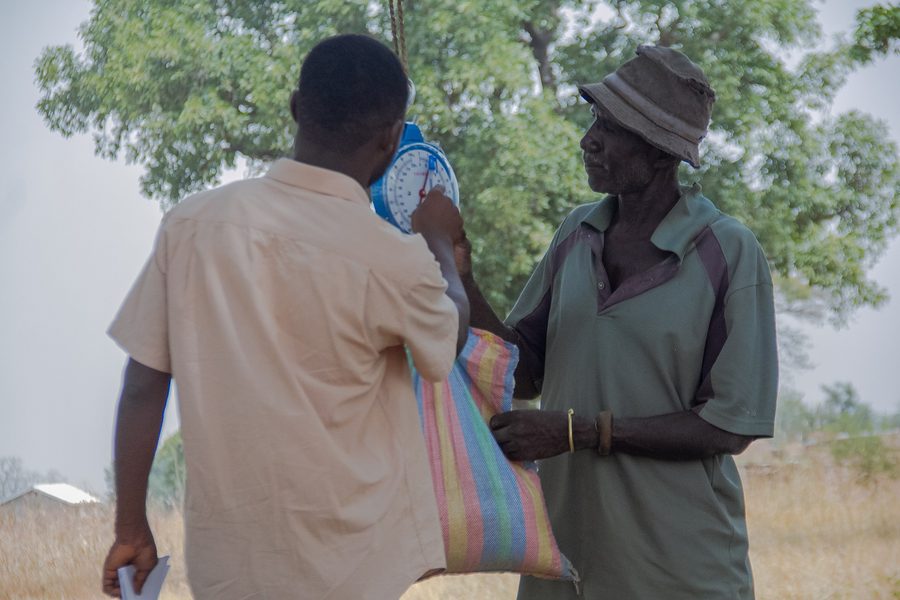 Photo from: SCRAS Farmers Measure Yields from Sustainable Agriculture Demonstration Plots