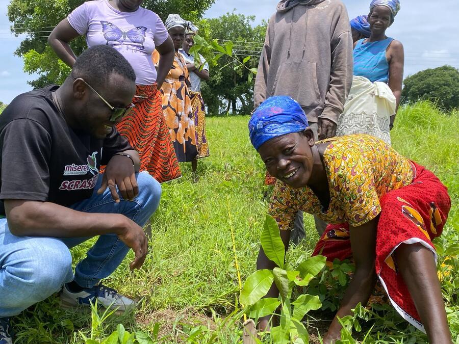 Photo from: Growing Resilience: NABOCADO Establishes Demonstration Alley Farms Under SCRAS Project