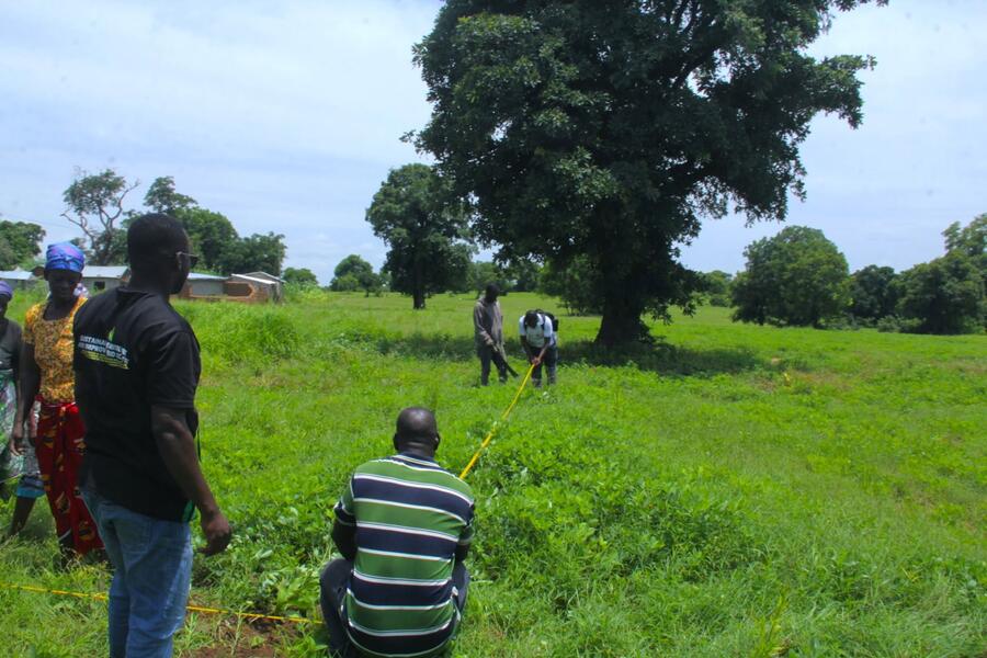 Photo from: Growing Resilience: NABOCADO Establishes Demonstration Alley Farms Under SCRAS Project