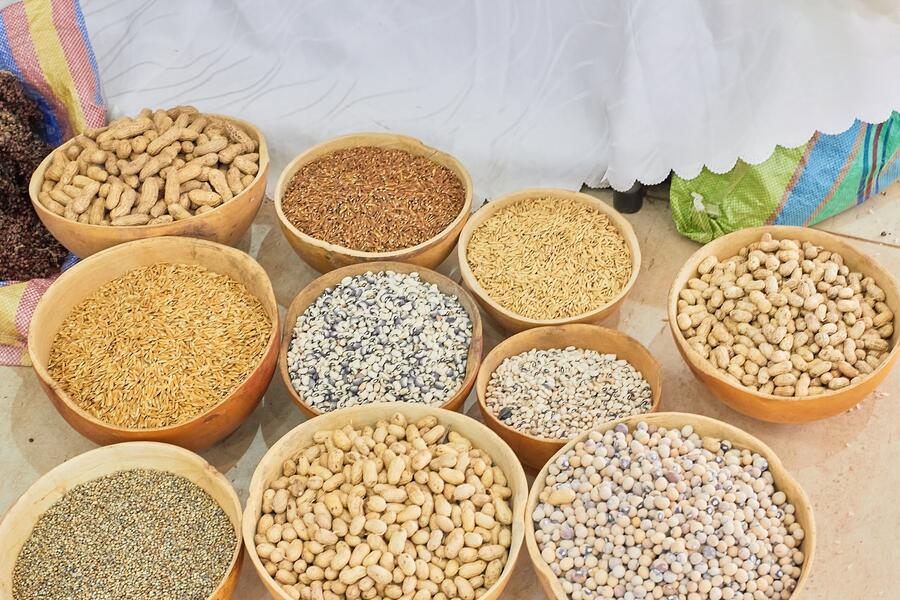 Photo from: SCRAS Farmers Join the Bolgatanga Farmers Seed Fair 2026