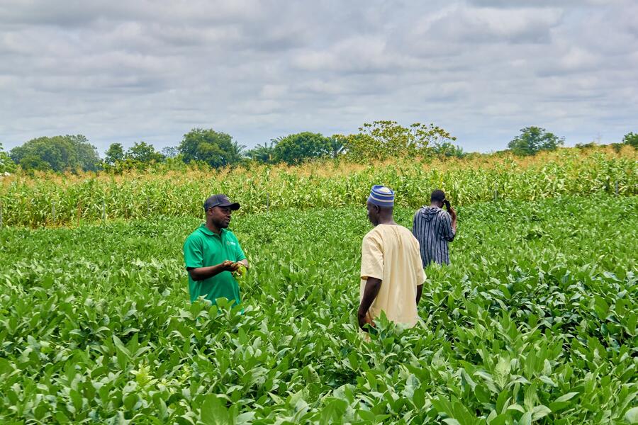Photo from: SCRAS Media Field Day Brings Farmers’ Climate Solutions to a Wider Audience