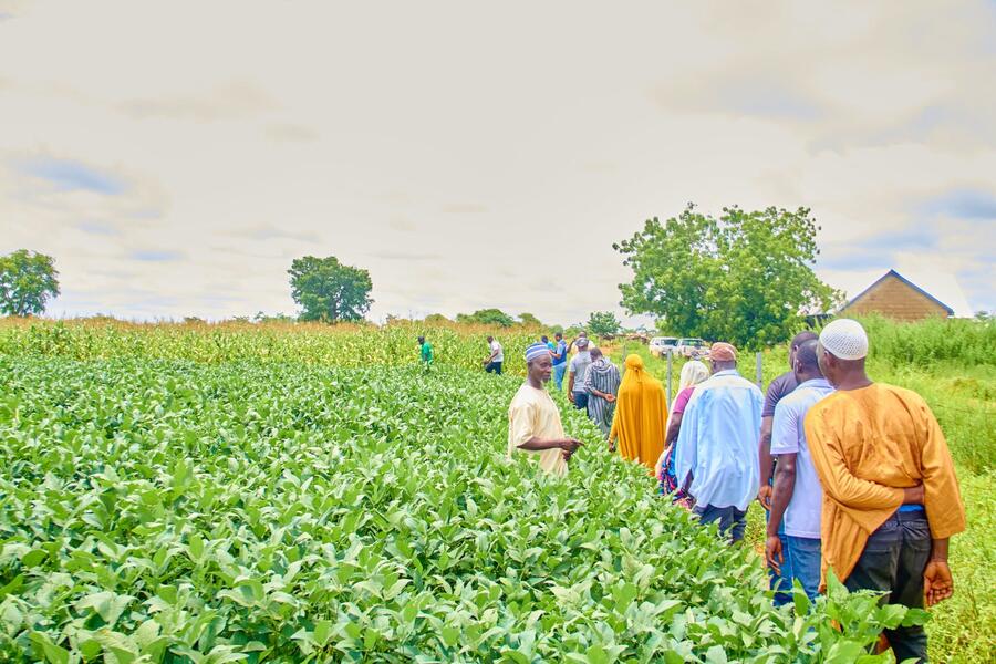 Photo from: SCRAS Media Field Day Brings Farmers’ Climate Solutions to a Wider Audience