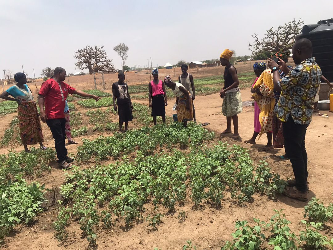The Livelihood & Agriculture Director guiding women on good farming practices in the Kasiesa solar garden
