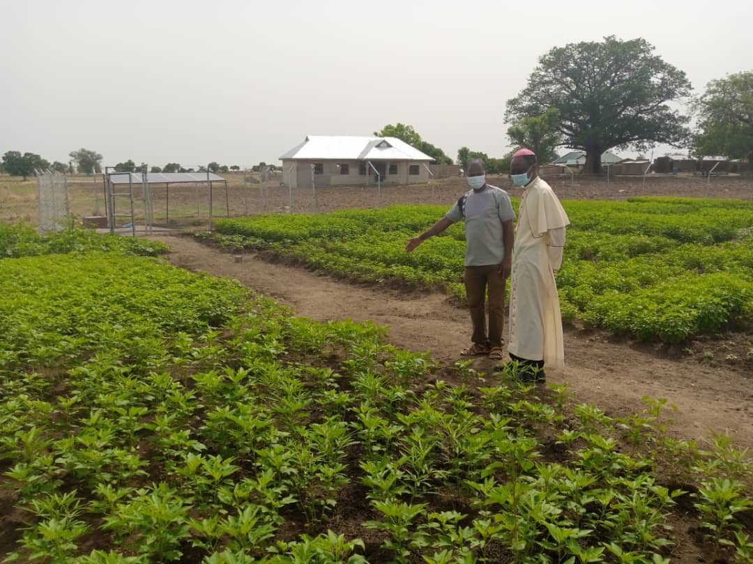 The Bishop of the Catholic Diocese of Navrongo-Bolgatanga and the Livelihood & Agriculture Director visiting the vegetable garden at Gorigo