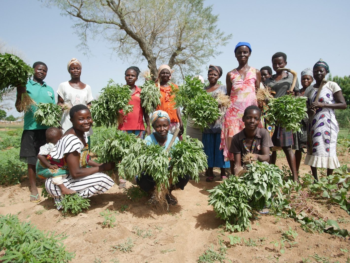 Beneficiaries in Lungu community showing their vegetable harvest