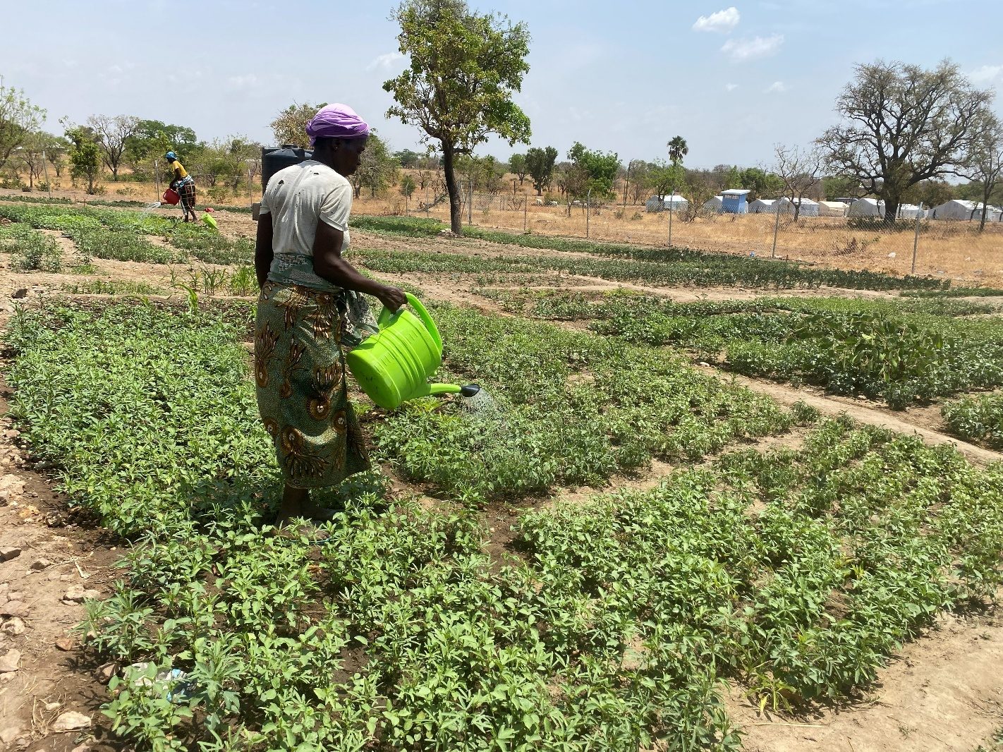 An asylum seeker watering her vegetables in the Tarikom solar garden