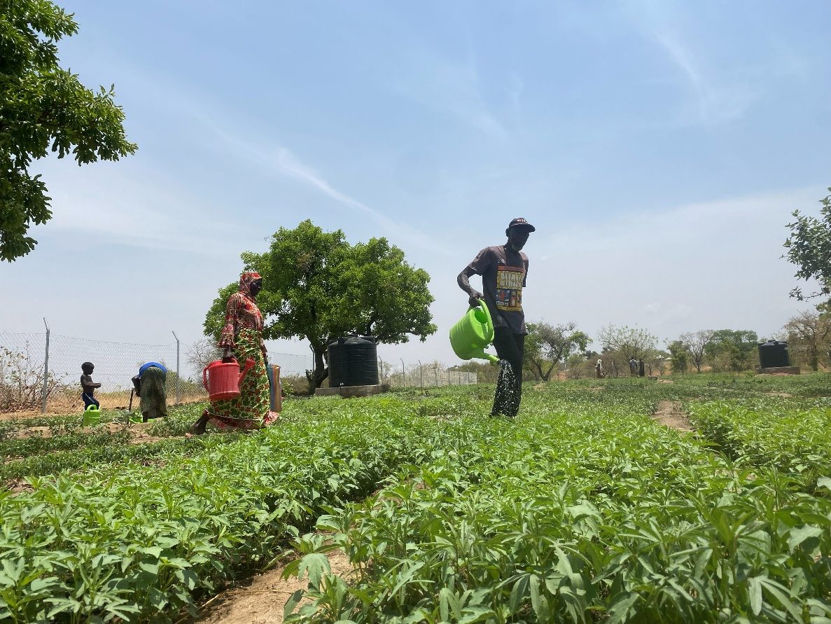 A beneficiary watering her plot in the Tarikom solar garden