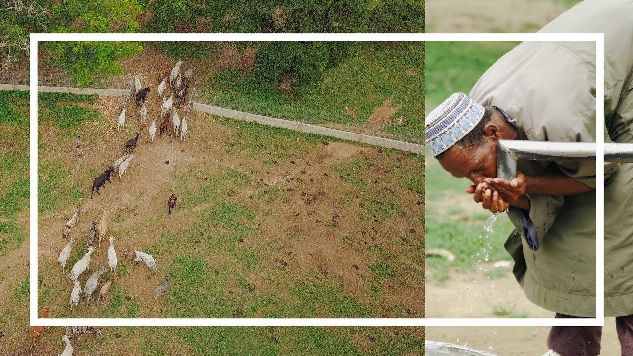 The Farmer Training Centre, Pusu-Namongo