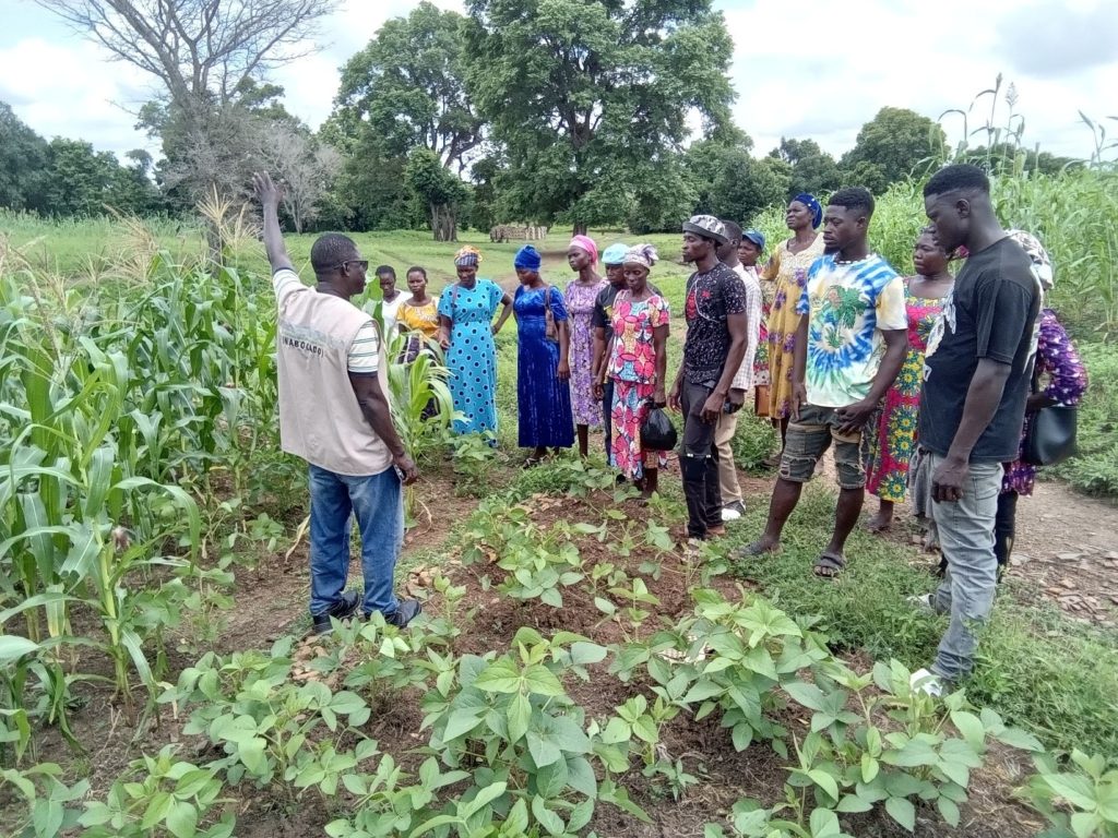 FARMERS PARTICIPATE IN EXCHANGE LEARNING TO BONGO DISTRICT
