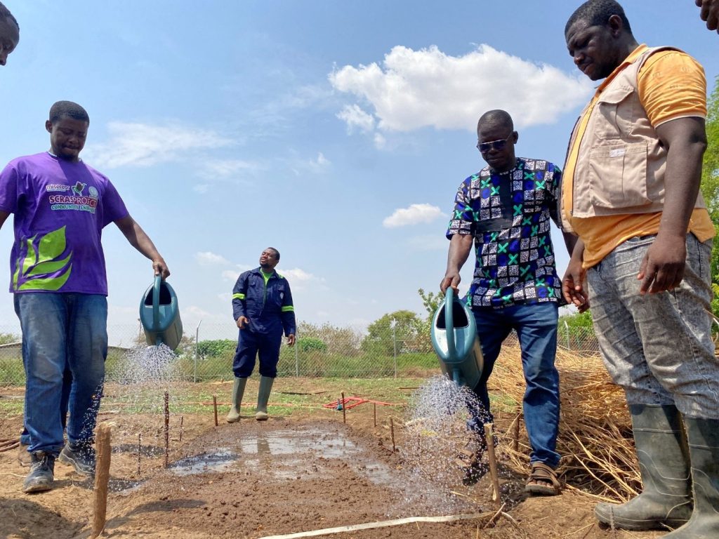 PROSSFA PROJECT TRAIN NABOCADO STAFF ON INTEGRATED VEGETABLE PRODUCTION
