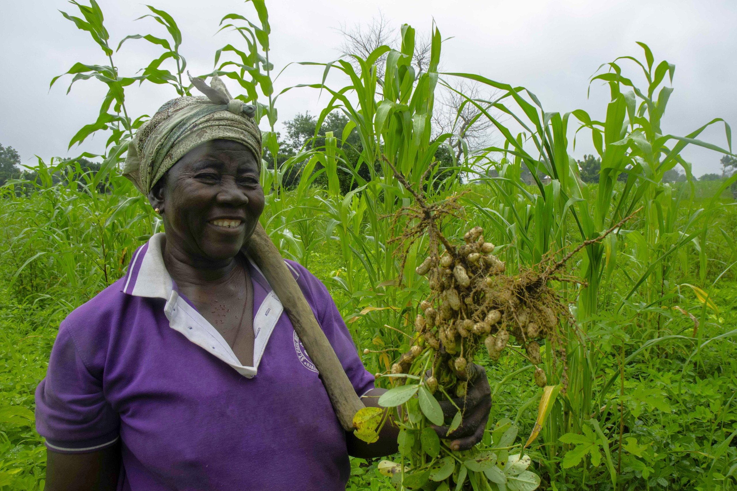 Abodaah Amogiusine on her groundnut farm