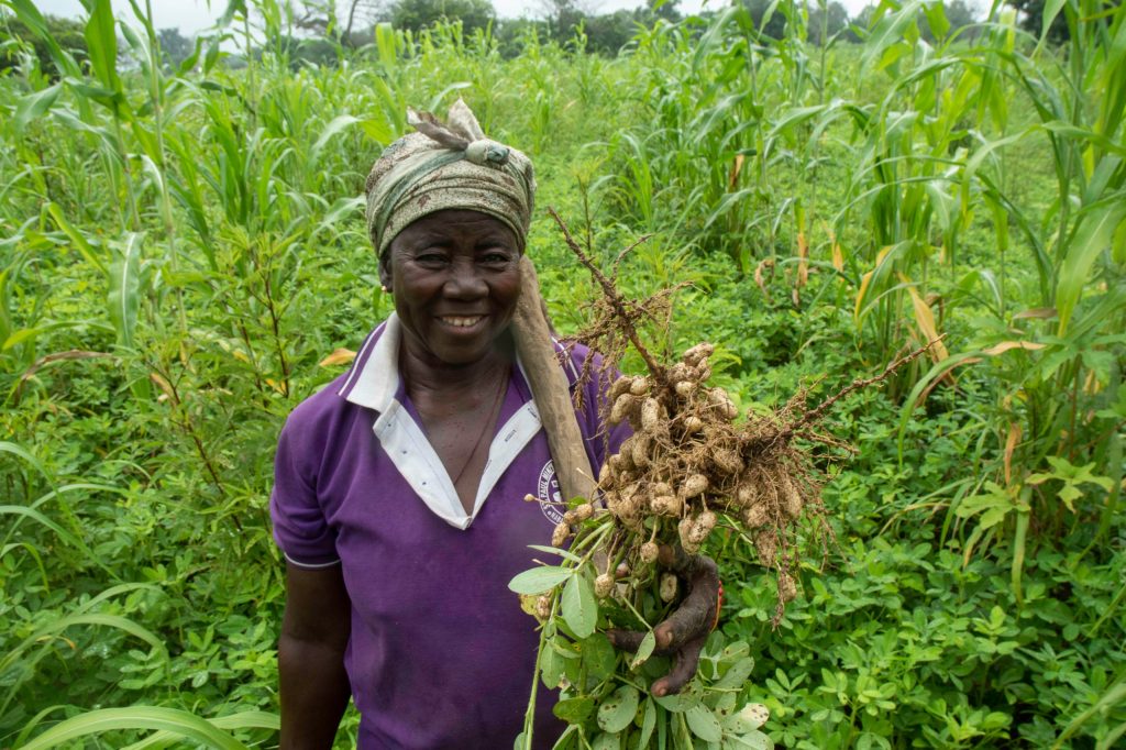 Local Innovation: How Abodaah Amogiusine is Transforming Farming in Nabango.